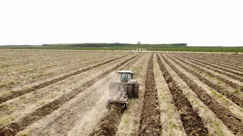 Operación SIMA 6
